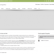 Pictografico Web agency