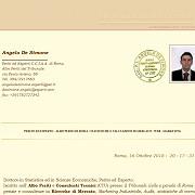 Ricerche e analisi di mercato - perito