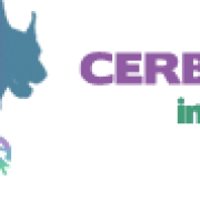 Cerberus Informatica - consulenza a 360 gradi