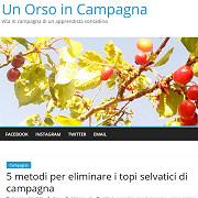 Un Orso in Campagna