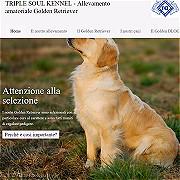Allevamento Golden Retriever- triplesoul.it