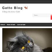 Gatto Blog