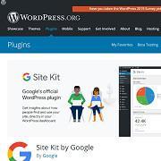 Google e WordPress