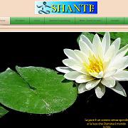 Yoga e meditazione - shantisai.org