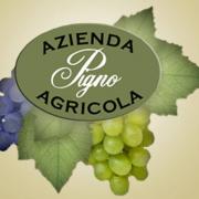 Agriturismo Cantina Pigno